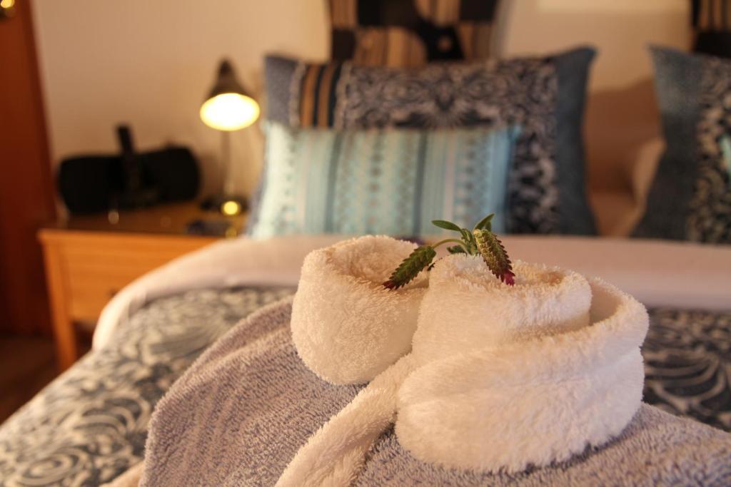 Chalet Romantica Paihia Zimmer foto